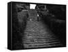 Milton Abbey Turf Steps-null-Framed Stretched Canvas