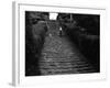 Milton Abbey Turf Steps-null-Framed Photographic Print