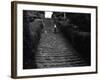 Milton Abbey Turf Steps-null-Framed Photographic Print