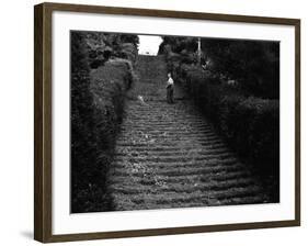 Milton Abbey Turf Steps-null-Framed Photographic Print