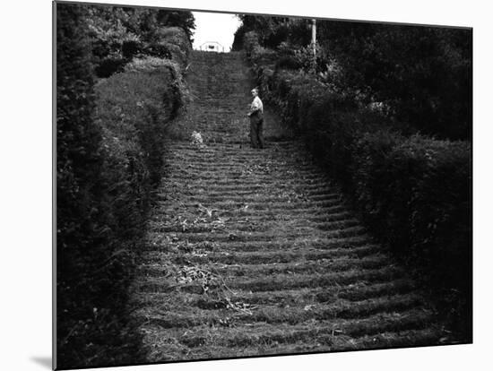 Milton Abbey Turf Steps-null-Mounted Photographic Print