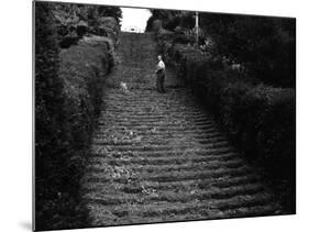 Milton Abbey Turf Steps-null-Mounted Photographic Print