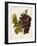 Milton Grape-J. Troncy-Framed Giclee Print