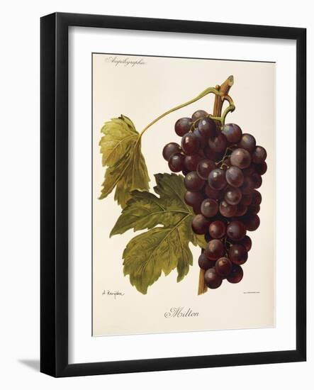 Milton Grape-J. Troncy-Framed Giclee Print