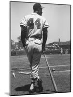 Milwaukee Braves Hank Aaron Leaning on Bat During Baseball Game-George Silk-Mounted Premium Photographic Print