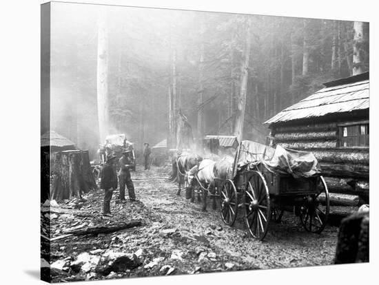 Milwaukee Road Construction Camp, Circa 1906-Asahel Curtis-Stretched Canvas