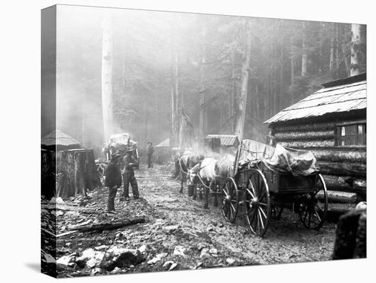 Milwaukee Road Construction Camp, Circa 1906-Asahel Curtis-Stretched Canvas