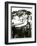 Milwaukee Road Ski Bowl, ca. 1946-null-Framed Giclee Print