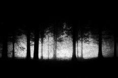 Dark and Scary Forest with Grungy Textures-Mimadeo-Photographic Print