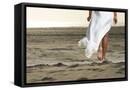 Framed Canvas