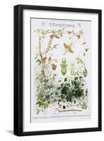 Mimetisme Educational Poster-P. Mery-Framed Giclee Print