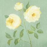 Abundant Rose I-Mimi Roberts-Giclee Print