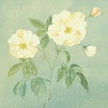 Abundant Rose II-Mimi Roberts-Giclee Print