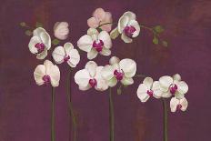 Orchid Dance-Mimi Roberts-Giclee Print