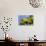 Mimosa (Acacia Dealbata Subalpina)-Dr. Keith Wheeler-Premium Photographic Print displayed on a wall