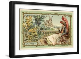 Mimosa, Monaco-null-Framed Giclee Print