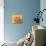 Mimosa Sky Flowers-Blenda Tyvoll-Stretched Canvas displayed on a wall