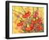 Mimosa Sky Flowers-Blenda Tyvoll-Framed Art Print