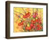 Mimosa Sky Flowers-Blenda Tyvoll-Framed Art Print