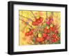 Mimosa Sky Flowers-Blenda Tyvoll-Framed Art Print