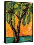 Mimosa Sky Palm Tree-Blenda Tyvoll-Framed Stretched Canvas