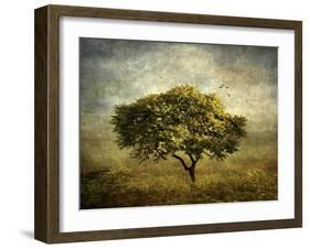 Mimosa Tree-Jessica Jenney-Framed Giclee Print