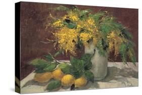 Mimosas y Limones-J^ Ripoll-Stretched Canvas