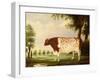 Mina, A Four Year Old Shorthorn Bull, in a Meadow-Thomas Freebairn Wilson-Framed Giclee Print