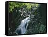 Mina Sauk Falls, Mark Twain National Forest, Missouri, USA-Charles Gurche-Framed Stretched Canvas