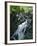 Mina Sauk Falls, Mark Twain National Forest, Missouri, USA-Charles Gurche-Framed Photographic Print