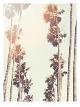 Palm-Mina Teslaru-Laminated Art Print