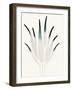 Mina-Maja Gunnarsdottir-Framed Giclee Print