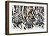 Minamoto No Yorimitsu-null-Framed Giclee Print