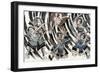 Minamoto No Yorimitsu-null-Framed Giclee Print