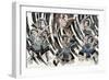 Minamoto No Yorimitsu-null-Framed Giclee Print