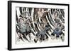 Minamoto No Yorimitsu-null-Framed Giclee Print