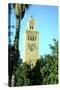 Minaret of the Koutoubia Mosque, Marakesh, Morocco-Vivienne Sharp-Stretched Canvas