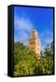 Minaret of the Koutoubia Mosque, Marrakech, Morocco-Nico Tondini-Framed Stretched Canvas