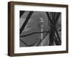 Minaret of the Taj Mahal-null-Framed Photographic Print