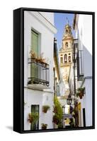 Minaret Tower of Great Mosque, Cordoba, Andalusia, Spain-phbcz-Framed Stretched Canvas