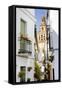 Minaret Tower of Great Mosque, Cordoba, Andalusia, Spain-phbcz-Framed Stretched Canvas