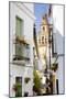 Minaret Tower of Great Mosque, Cordoba, Andalusia, Spain-phbcz-Mounted Photographic Print