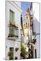 Minaret Tower of Great Mosque, Cordoba, Andalusia, Spain-phbcz-Mounted Photographic Print