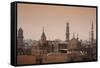 Minarets and Mosques of Cairo at Dusk-Alex Saberi-Framed Stretched Canvas