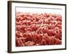 Mince-Kröger & Gross-Framed Photographic Print