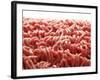 Mince-Kröger & Gross-Framed Photographic Print