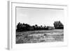 Minden, Nevada - View of the Virginia & Truckee Railroad Train-Lantern Press-Framed Art Print