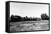 Minden, Nevada - View of the Virginia & Truckee Railroad Train-Lantern Press-Framed Stretched Canvas