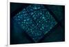 Mindfulness-Doug Chinnery-Framed Photographic Print