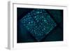 Mindfulness-Doug Chinnery-Framed Photographic Print